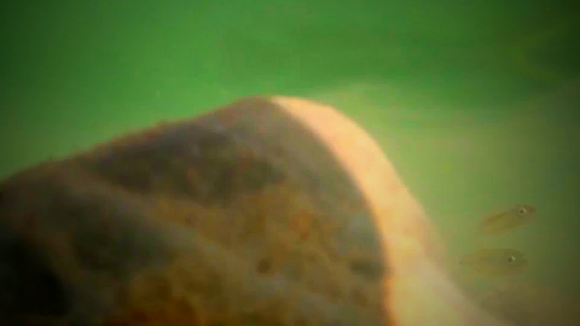 Desktop wallpaper 2